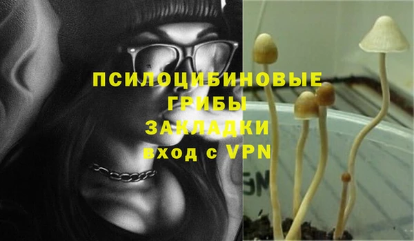 хмурый Армянск