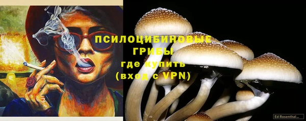 дживик Арсеньев