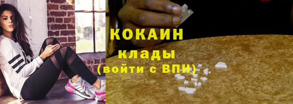 дживик Арсеньев