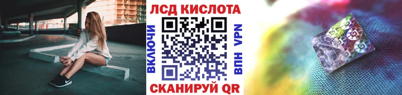 где купить Бологое Марки NBOMe 1,5мг